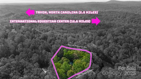 447 Cherokee Circle, Tryon, Северная Каролина 28782, Соединенные Штаты