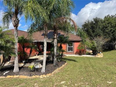 14906 WINDY MOUNT CIRCLE, CLERMONT, 佛罗里达州 34711, 美国