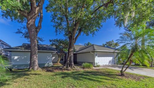 9430 Pebble Glen Avenue, Tampa, Florida 33647, USA