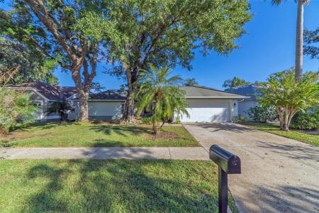 9430 Pebble Glen Avenue, Tampa, Florida 33647