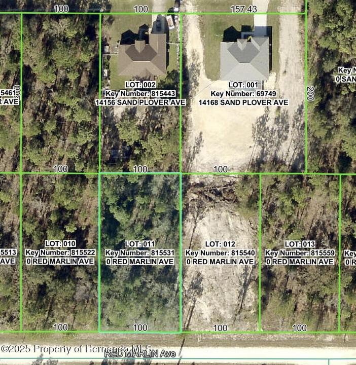 Lot 11 Red Marlin Avenue, Weeki Wachee, 佛罗里达州 34614, 美国