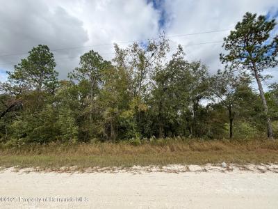 Lot 11 Red Marlin Avenue, Weeki Wachee, 佛罗里达州 34614, 美国