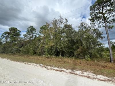 Lot 11 Red Marlin Avenue, Weeki Wachee, 佛罗里达州 34614, 美国
