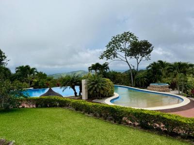 Piedades Sur San Ramón, 阿拉胡埃拉 20205, 哥斯达黎加