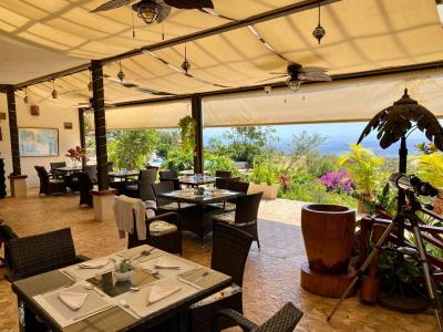 Piedades Sur San Ramón, 阿拉胡埃拉 20205, 哥斯达黎加