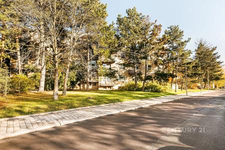 Renčova, Brno, Brno-město 62100, 捷克共和國