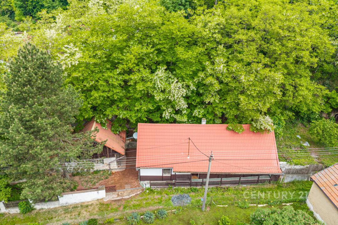 Vitice, Kolín 100 00, 체코