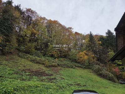 Naklo, Naklo, Gorenjska, Slovenia