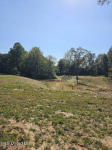 10756 Honey Ridge Drive, Hernando, מיסיסיפי 38632, ארצות הברית של אמריקה 