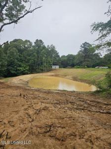 10756 Honey Ridge Drive, Hernando, מיסיסיפי 38632, ארצות הברית של אמריקה