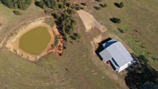 2989 Farm To Market 1841, Linden, טקסס 75563, ארצות הברית של אמריקה 