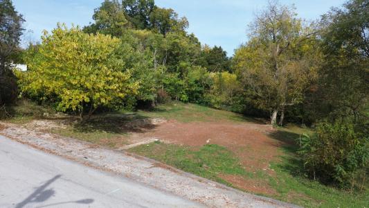 203 Mound Street, Somerset, 肯塔基州 42501, 美國