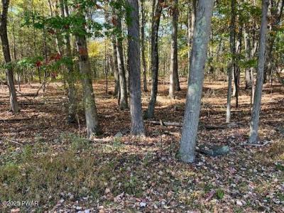 Lot# 3 Aspen Road, Dingmans Ferry, פנסילבניה 18328, ארצות הברית של אמריקה 