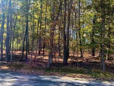 Lot# 3 Aspen Road, Dingmans Ferry, פנסילבניה 18328, ארצות הברית של אמריקה 