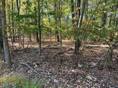 Lot# 3 Aspen Road, Dingmans Ferry, פנסילבניה 18328, ארצות הברית של אמריקה 