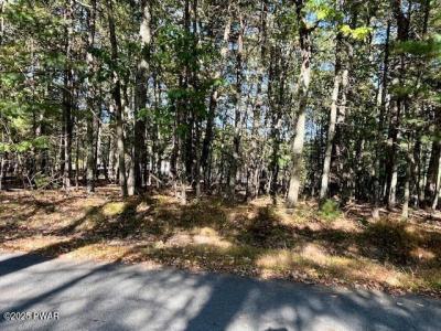 Lot #31A  Primrose Lane, Dingmans Ferry, Pennsylvanie 18328, États-Unis