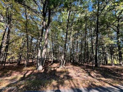 Lot #31A  Primrose Lane, Dingmans Ferry, Pensilvania 18328, Estados Unidos