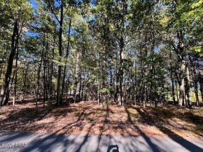 Lot #31A  Primrose Lane, Dingmans Ferry, Pensilvania 18328, Estados Unidos