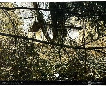 1011 Sr-532, Stanwood, Washington 98223