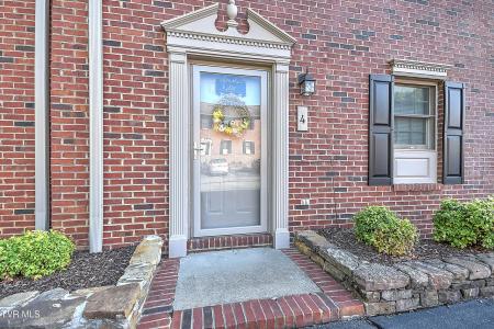 1201 E 8th Avenue, Johnson City, Tennessee 37601, USA