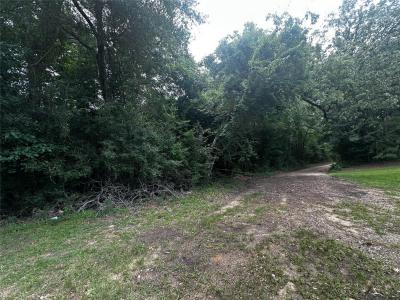 TBD Old Israel, Livingston, טקסס 77351, ארצות הברית של אמריקה 