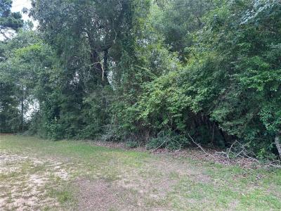 TBD Old Israel, Livingston, טקסס 77351, ארצות הברית של אמריקה 