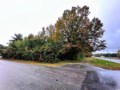 TBD Green Sea Rd., Green Sea, Южная Каролиня 29545, Соединенные Штаты