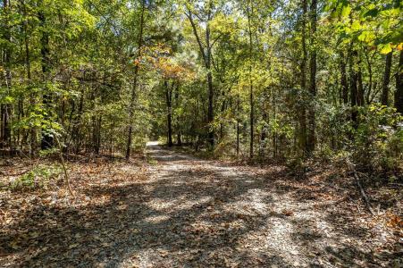 2026 Cr 3234, Quitman, Texas 75783, Estados Unidos