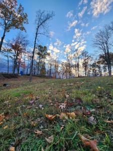 7075 Wyers Point Beach Road, Ovid, 纽约州 14521, 美国