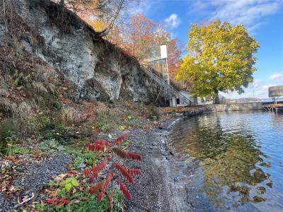 7075 Wyers Point Beach Road, Ovid, 纽约州 14521, 美国