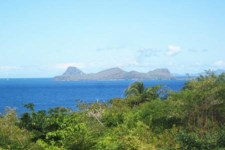 Hummingbird Hill, Levera, St.Patrick West Indies, Granada
