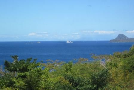 Hummingbird Hill, Levera, St.Patrick West Indies, Granada