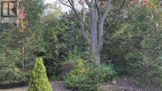 117 WESTWOOD LANE, Richmond Hill (south Richvale), Ontario L4C 6X8, Canada