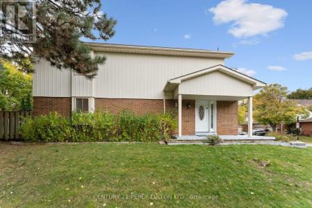 34 DUNDALK DRIVE, Toronto (dorset Park), 安大略省 M1P 4W3, 加拿大