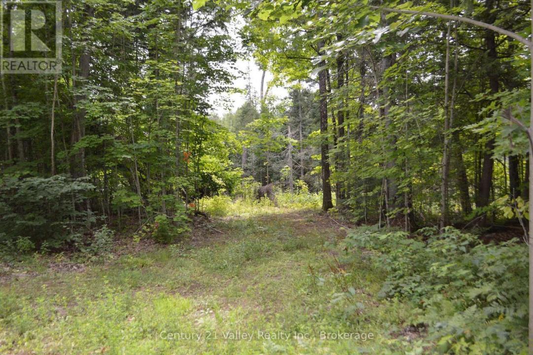 1148 MT ST PATRICK ROAD, Admaston/bromley, Ontario K7V 3Z7, Canada