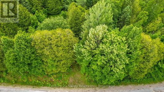 1148 MT ST PATRICK ROAD, Admaston/bromley, Ontario K7V 3Z7, Canada