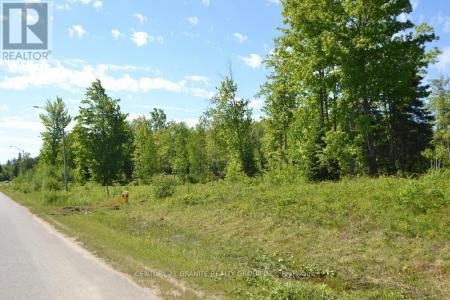 57 NICKLAUS DRIVE, Bancroft (bancroft Ward), 安大略省 K0L 1C0, 加拿大