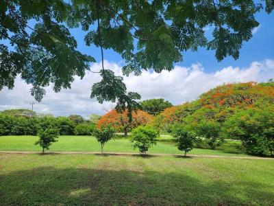 colinas de golf, las lomas , Cabo Velas Santa Cruz, Guanacaste 00001, Costa Rica
