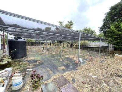 湖新段, Hukou Township, Hsinchu County 303, Taïwan