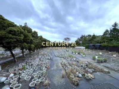 湖新段, Hukou Township, Hsinchu County 303, Taïwan