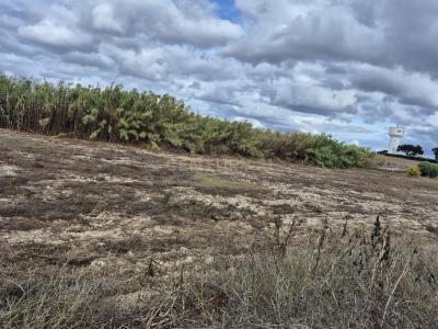 Ferreira Do Alentejo, Beja 7900-258, Portugal