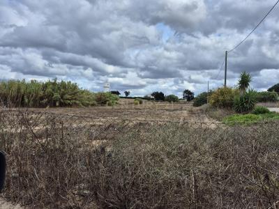 Ferreira Do Alentejo, Beja 7900-258, Portugal