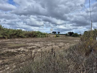 Ferreira Do Alentejo, Beja 7900-258, Portugal