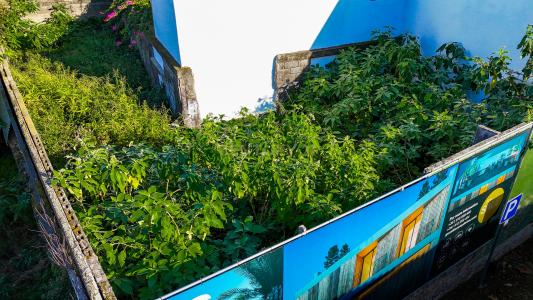 Lagoa, São Miguel 9560-450, Portugal