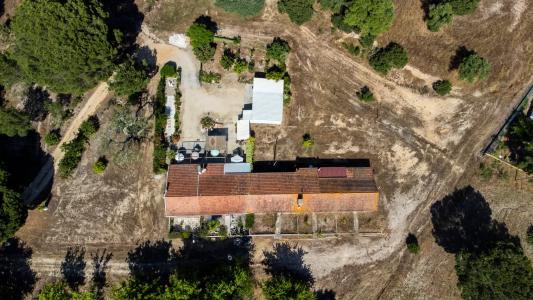 Montemor O Novo, Evora 7050-461, Portugal