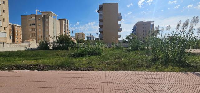 València/Valencia, Comunitat Valenciana 46712, España