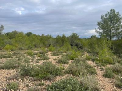 València/Valencia, Comunitat Valenciana 46117, Spain