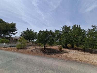 València/Valencia, Comunitat Valenciana 46117, Spain