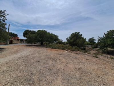 València/Valencia, Comunitat Valenciana 46117, Spain