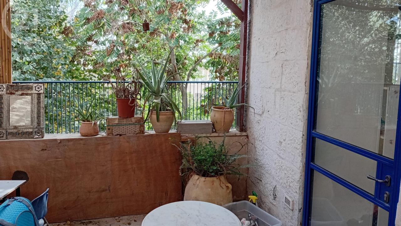 אביגיל, القدس, إسرائيل 